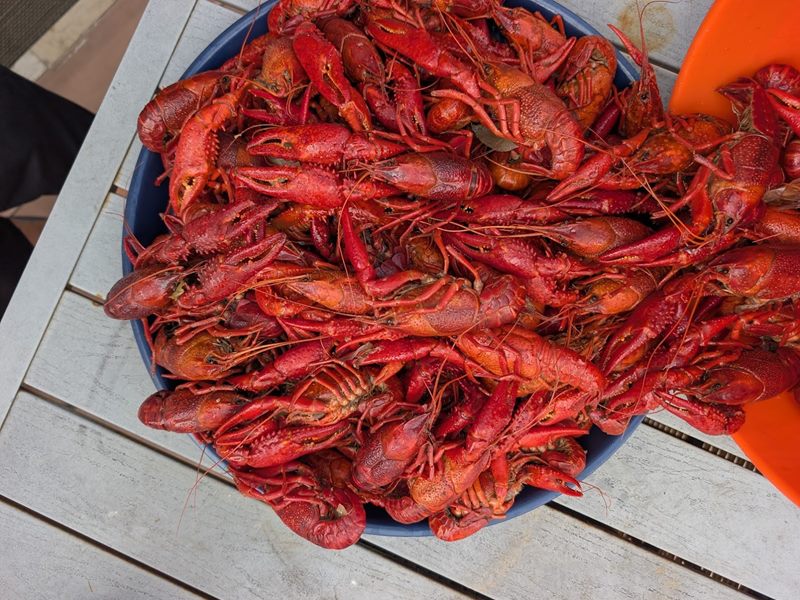Castnet Seafood food